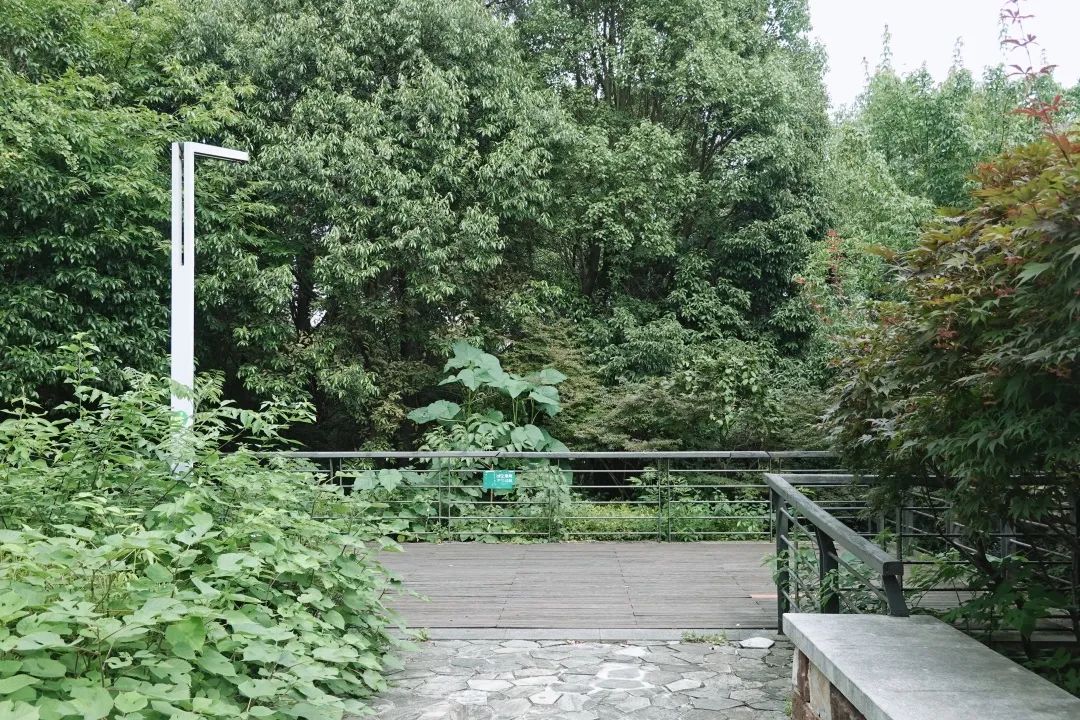 DƬ